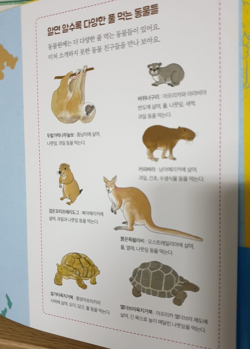 오물오물 이미지