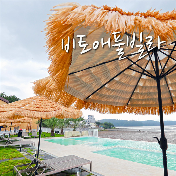 비토애〔:愛〕 이미지