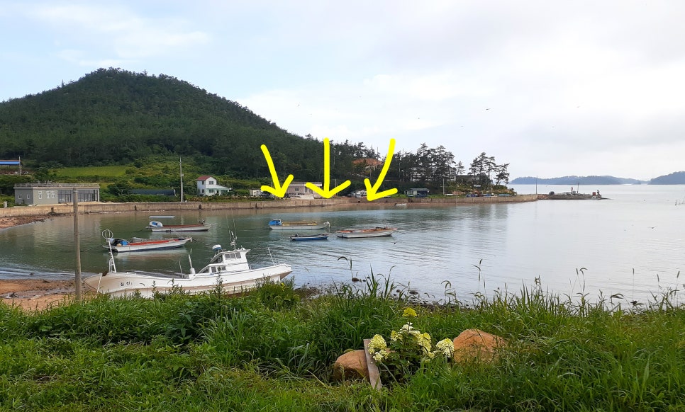 암태민박식당 이미지