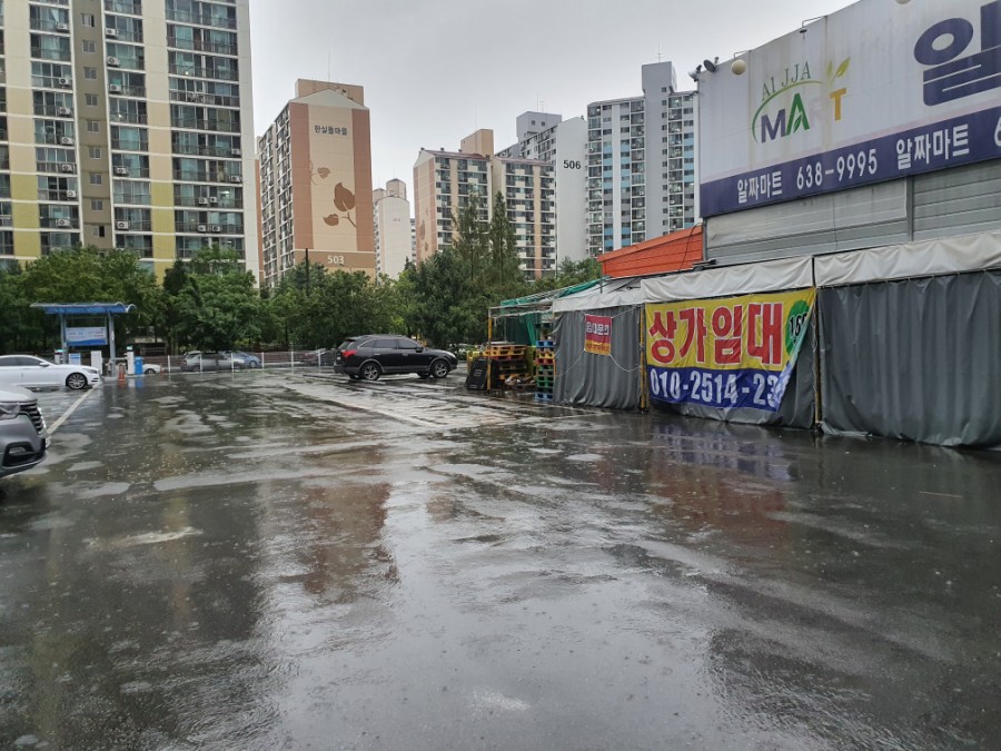 옥동돌문어자연산해산물 이미지