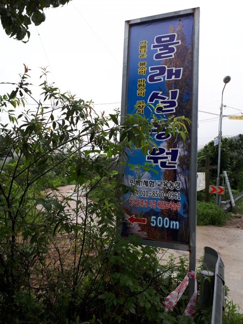 물래실농원 이미지