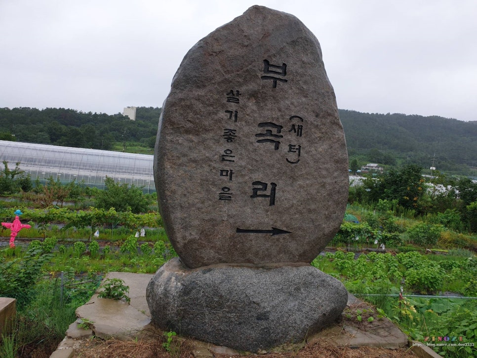 금자메기매운탕 이미지