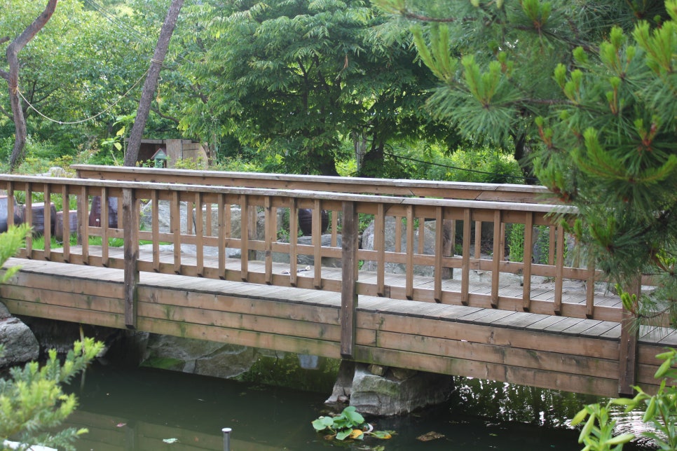 동산교육 이미지