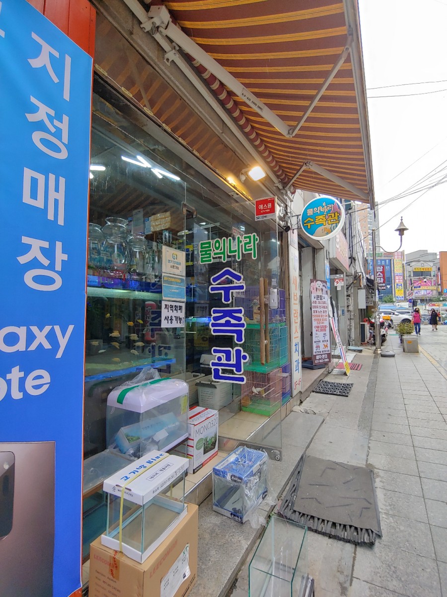 물의나라수족관 이미지