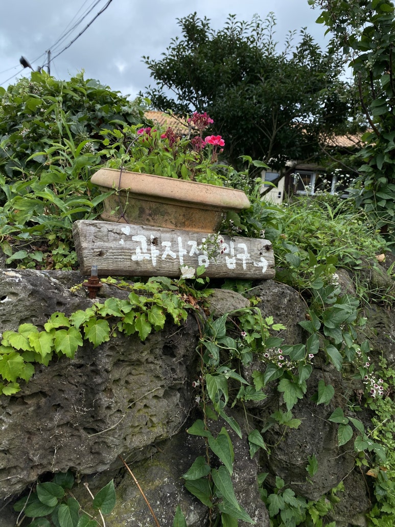 초록달 이미지