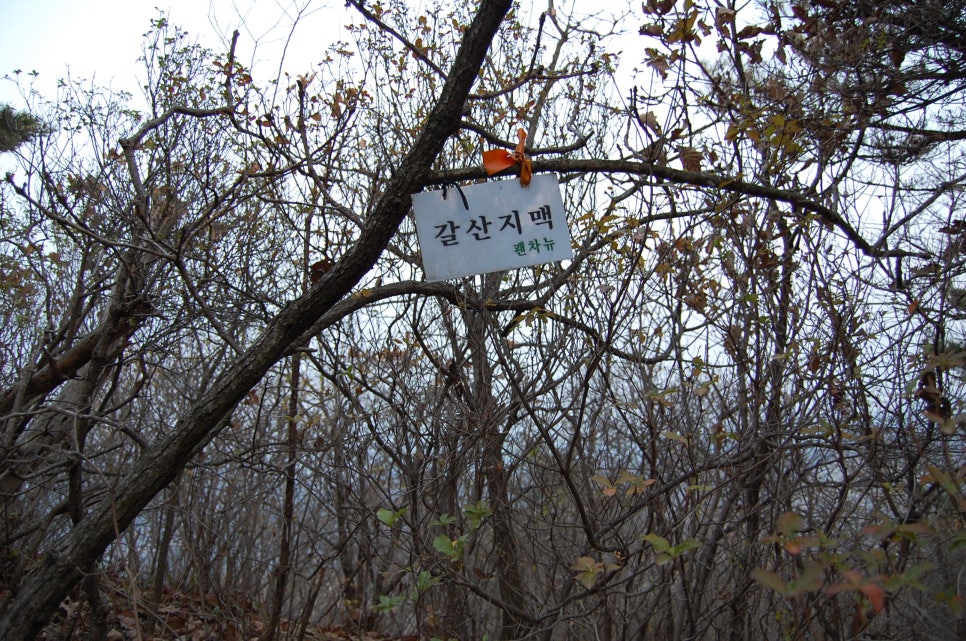 율고 이미지