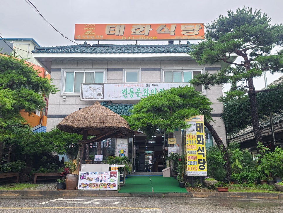 태화여행사 이미지