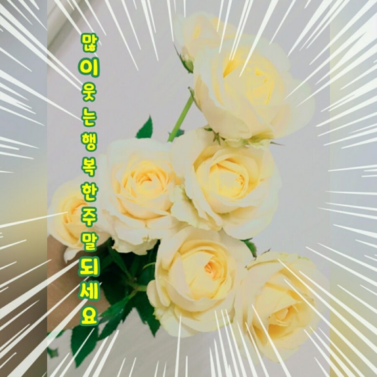 아침향기화원 이미지