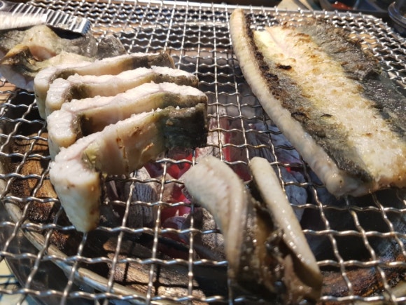 세미장어 이미지