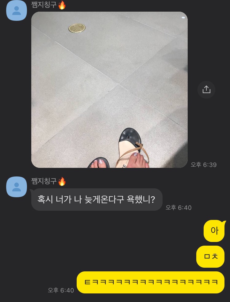 샴푸의요정 이미지