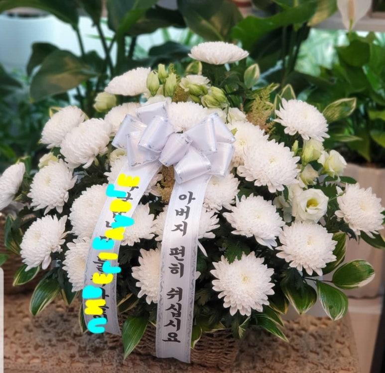 인스플라워 이미지