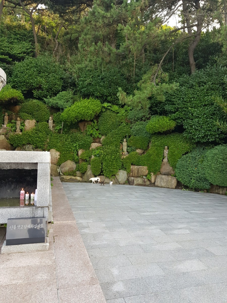 해동포차 이미지