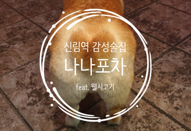 나나포차 이미지