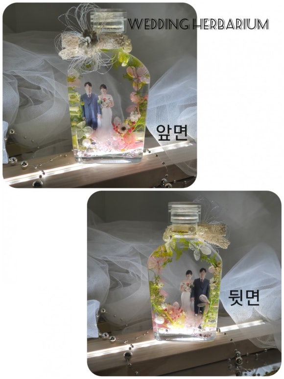 사막여우하바리움 이미지
