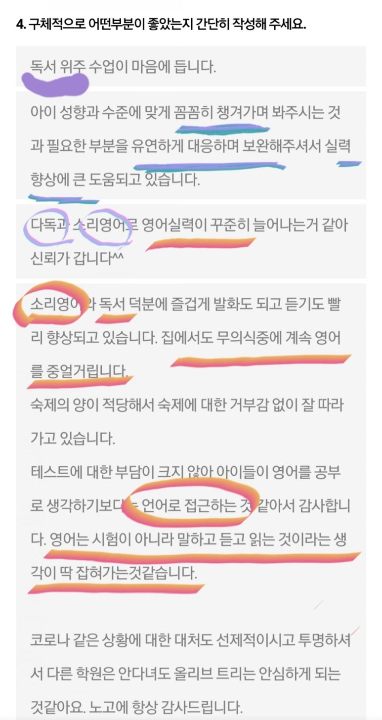 올리브트리 이미지