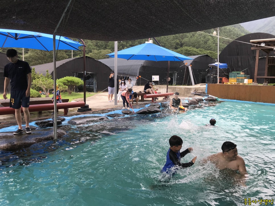 맑은산장농원 이미지