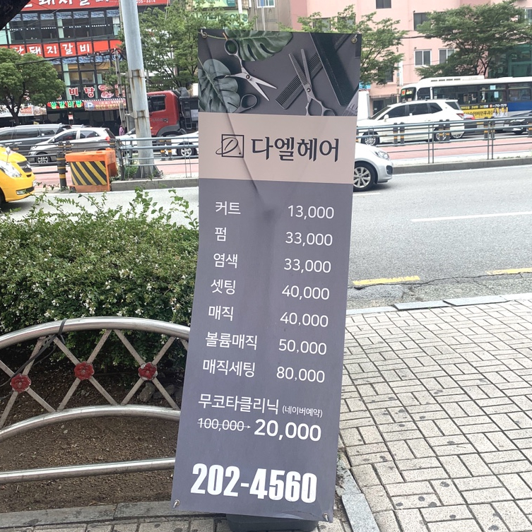 다엘안 이미지