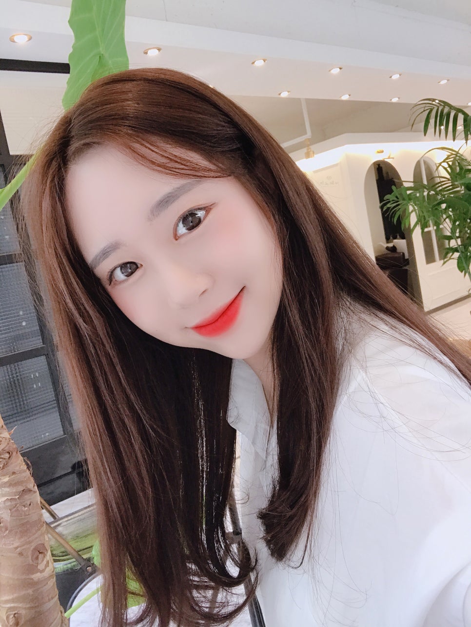 데일리브라운 이미지