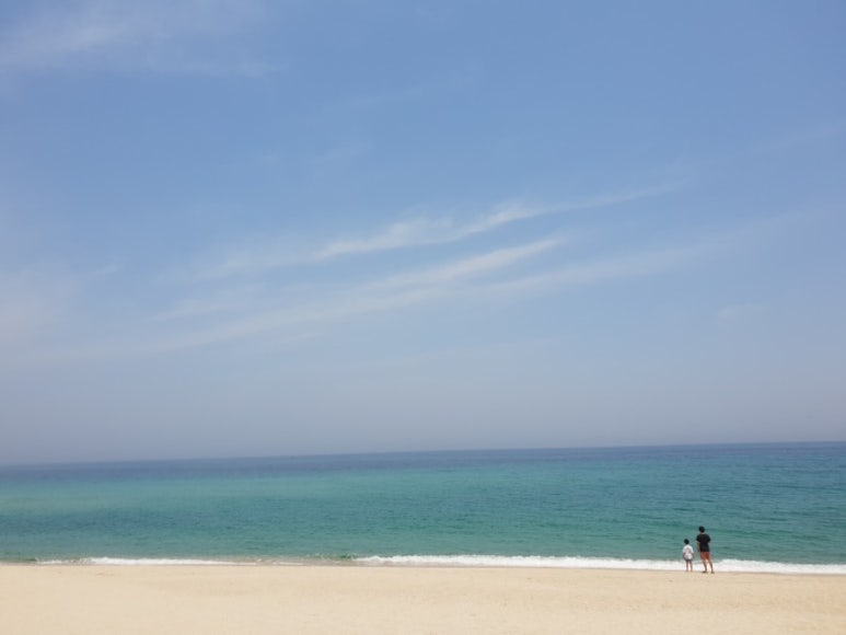 강릉그림카페 이미지
