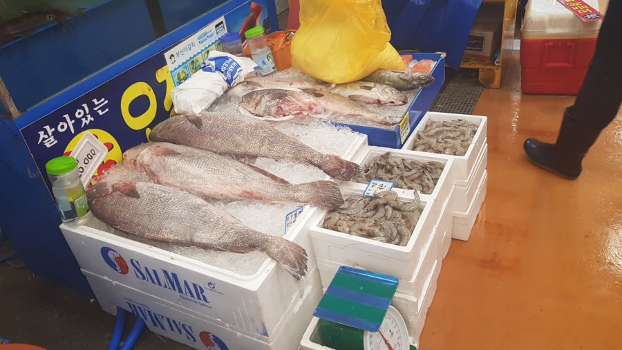 자갈치회수산 이미지