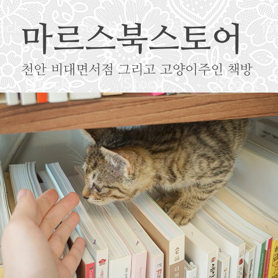 마르스북스토어 이미지