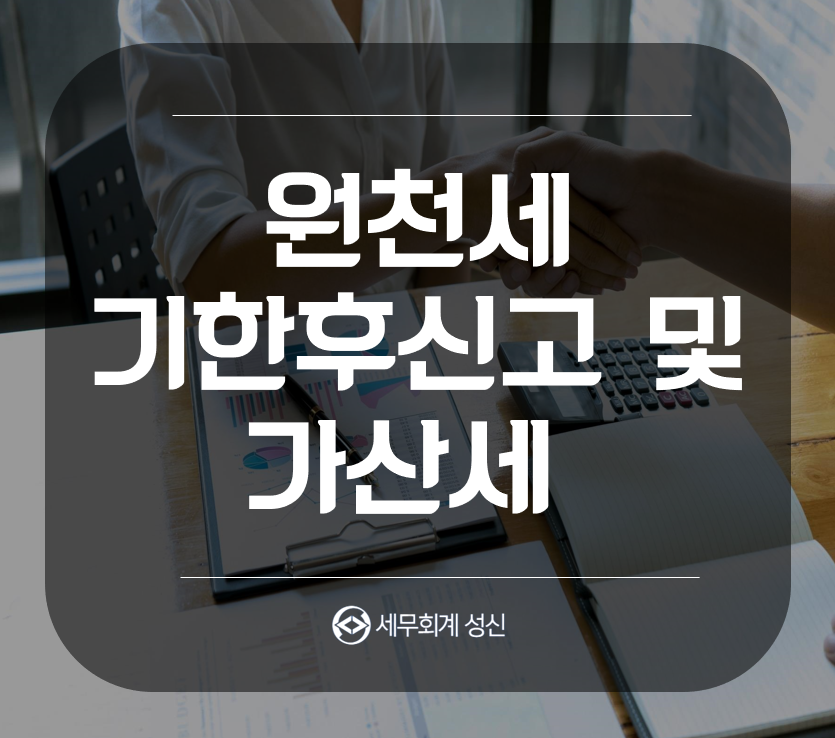 세무회계성신 이미지
