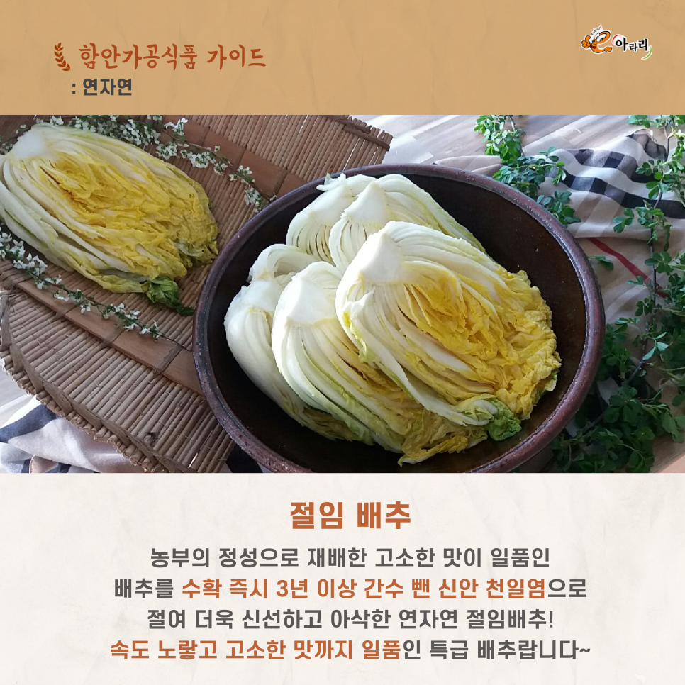 연자연 이미지