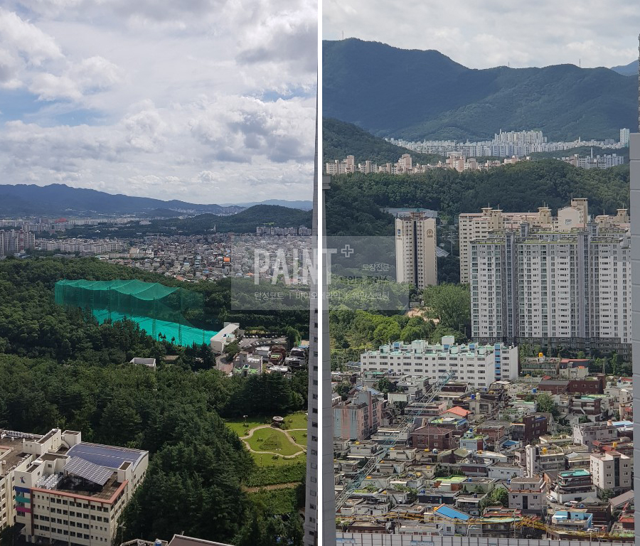 월드탄성 이미지
