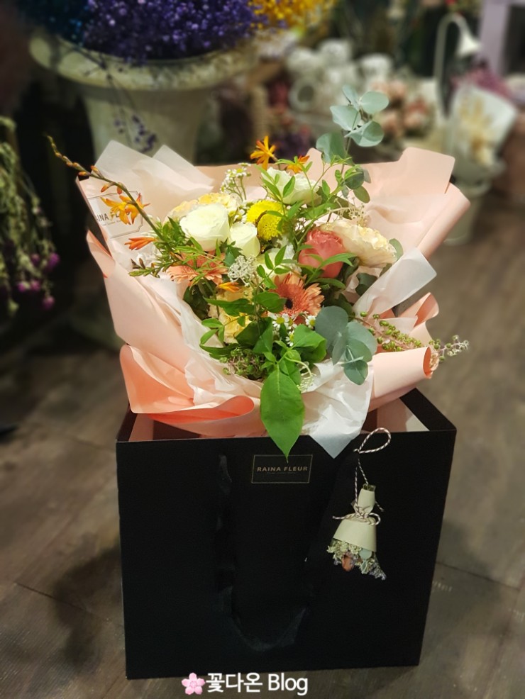 레이나플레르 이미지