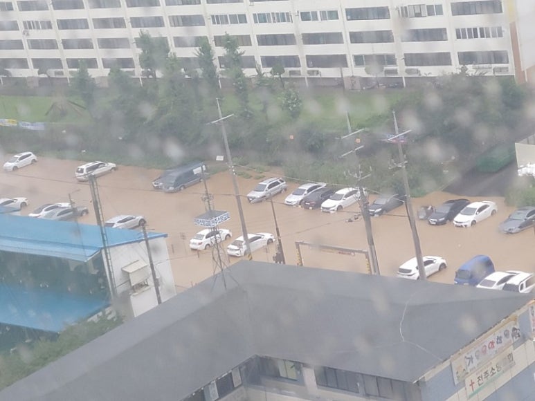 오투아일랜드 이미지