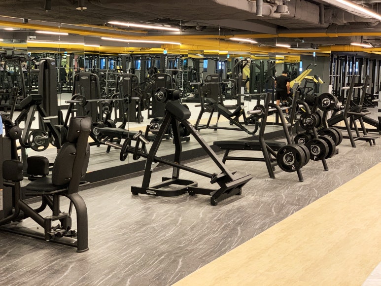 바디스타GYM 이미지