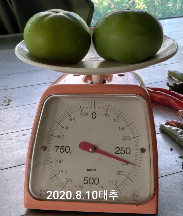 태산방제 이미지