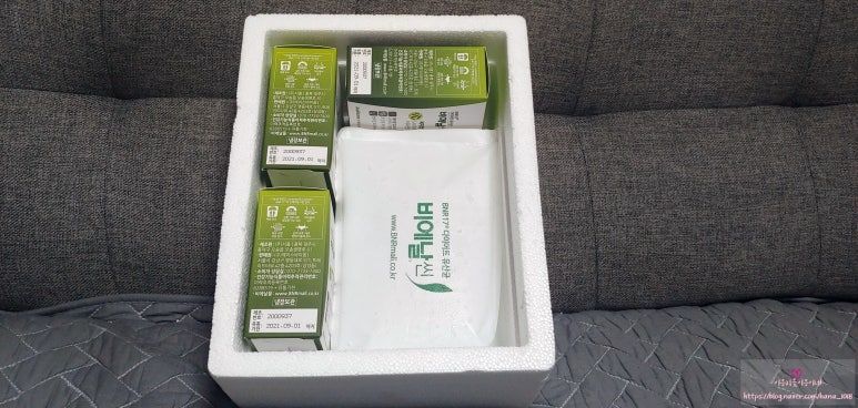 비엔플러스 이미지