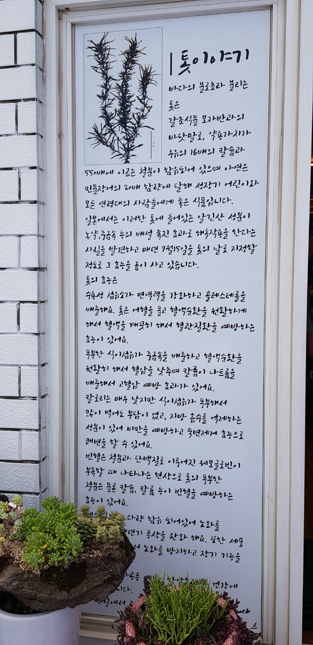 바당길 이미지