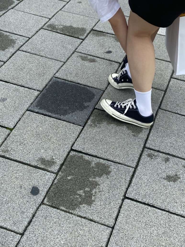피자알볼로보정 이미지