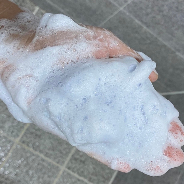 풍성란 이미지