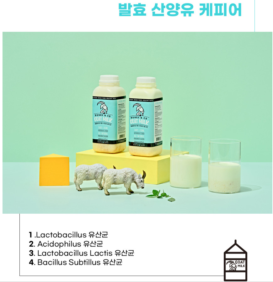루루앤코 이미지