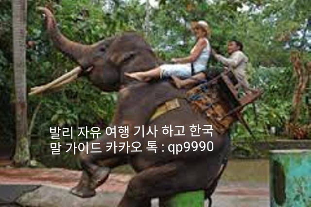 바카스 이미지