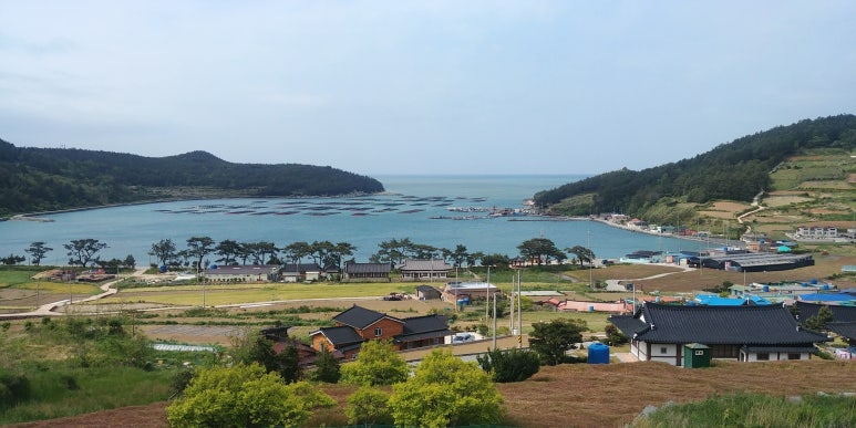 (경주·포항)해피케어 이미지