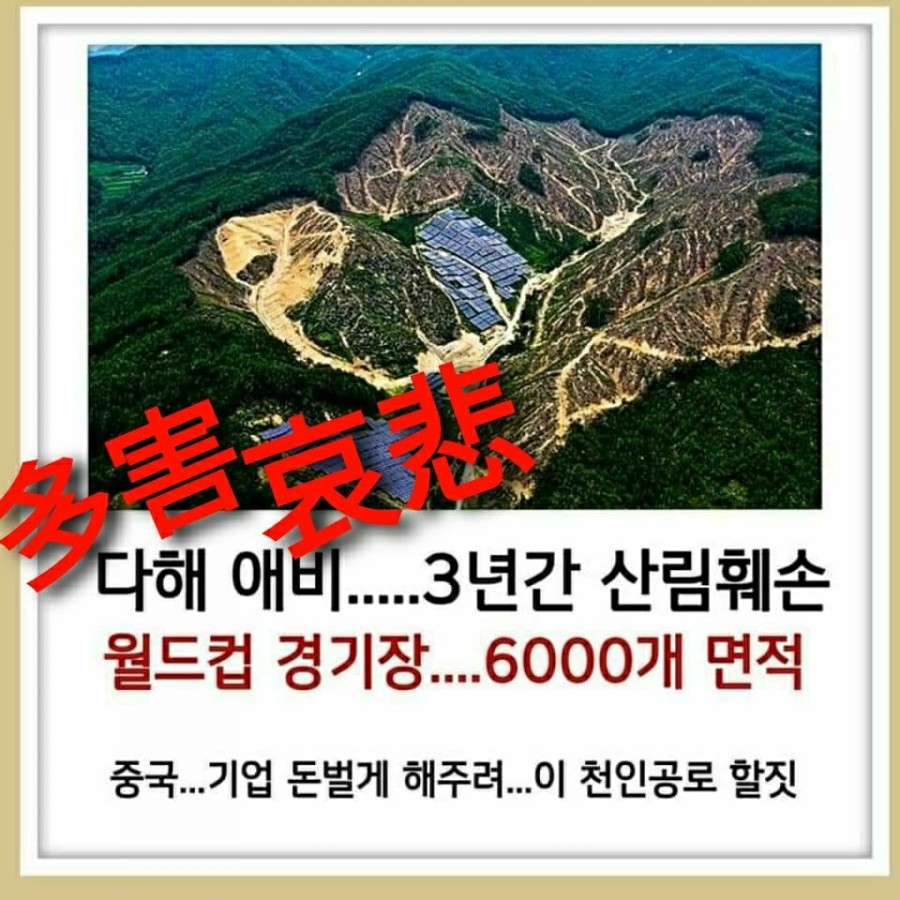 태양산림 이미지