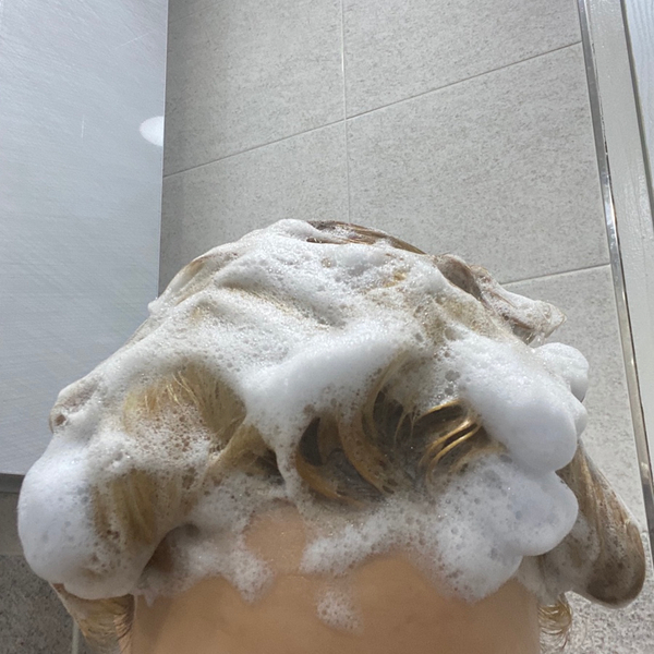풍성란 이미지