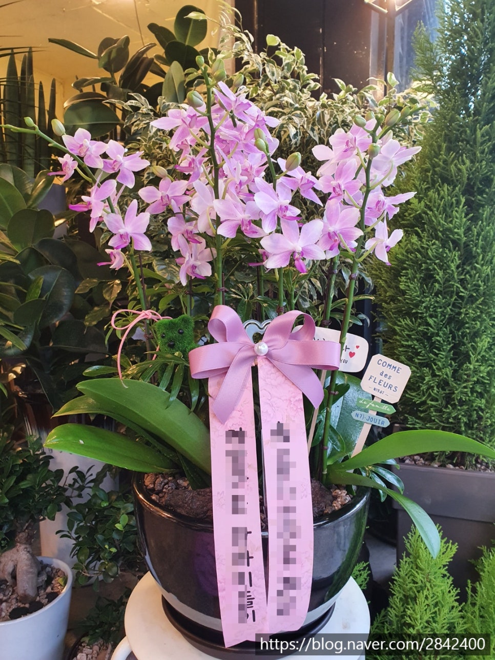 오성화원 이미지