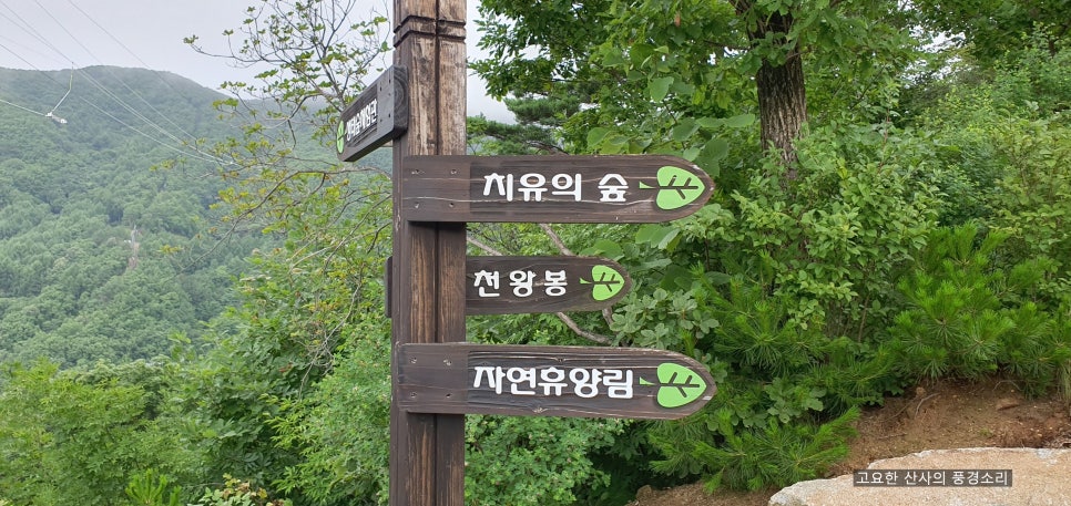 대봉산자연휴양림 이미지