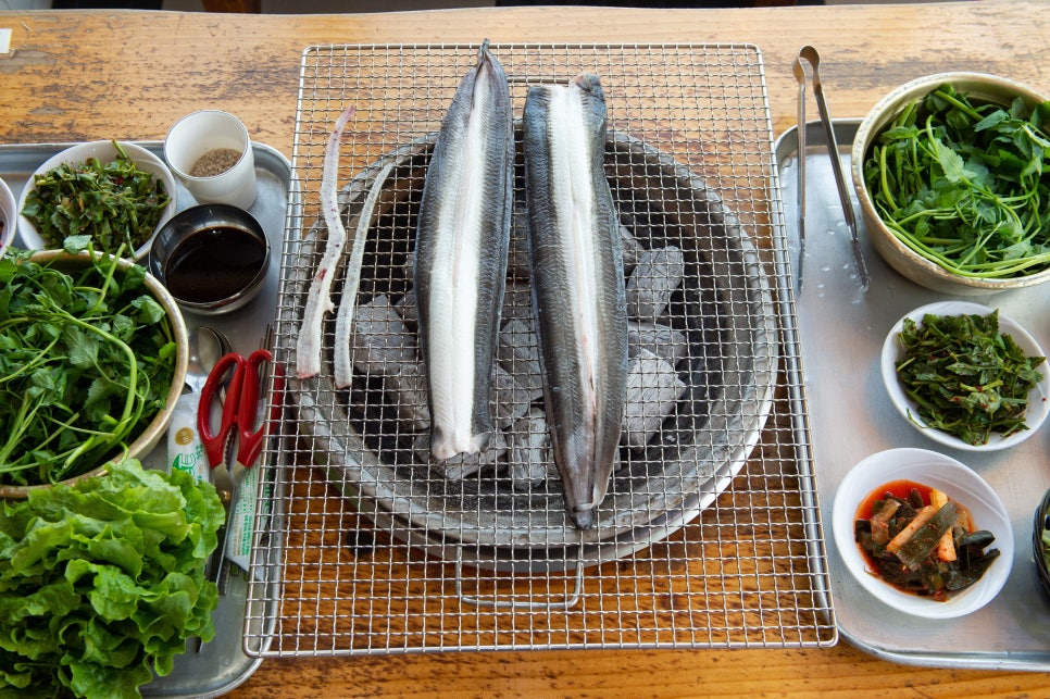 한강장어 이미지