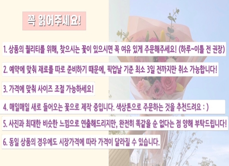 하이룩스 이미지