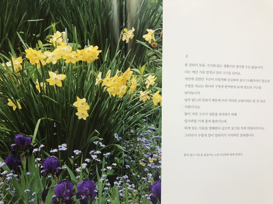 영미의 정원 이미지