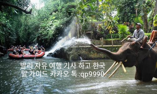 바카스 이미지