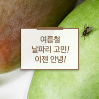 원스탑세이프티 이미지