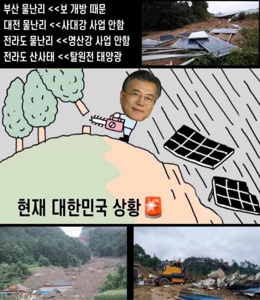 태양산림 이미지