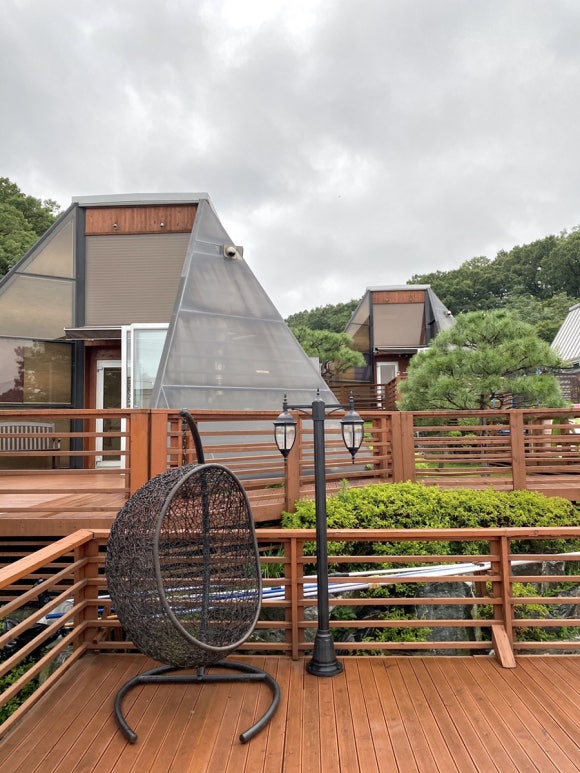 세모난나무 이미지